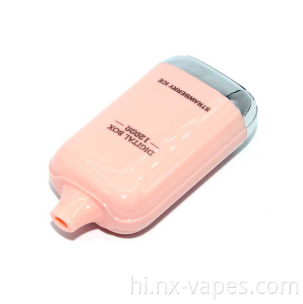 RandM Digital Box 12000 11